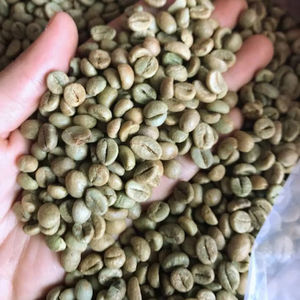 Vietnam Specialty Robusta Green Coffee <b>Beans</b> S18 Broken Black 0.1% USDA Certified TNFOOD Brand G1 G2 Grade 1000kg <b>Bags</b> Wholesale - Product Image 1