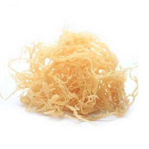 <b>Dried</b> Sea <b>Moss</b> - Healthy and Delicoius! - 100% Organic - Best Food for You - Product Image 2