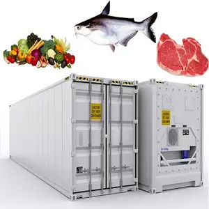 Best retailer freezer Reefer Refrigeration Chiller Unit