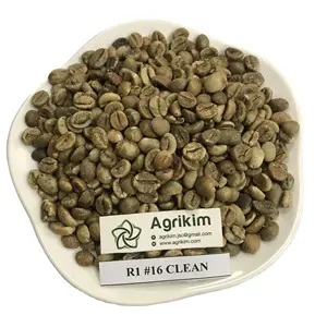 Yeşil kahve çekirdekleri No.1 en kaliteli Vietnam Arabica ve Robusta Vietnam kahve ihracat Dak Lak doğal renk Premium sınıf 10 kg