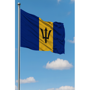 Drapeau extérieur de la Barbade imprimé numériquement avec mât en aluminium, bannières durables en polyester et soie plastifiée pour l'assurance - Product Image 3