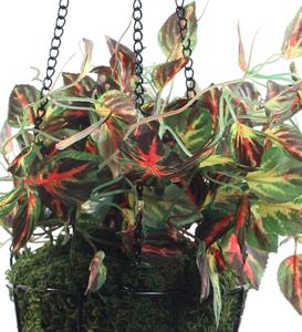 Luxury Green Metal Hanging <b>Flower</b> Basket for Outdoor Window <b>Decor</b> Home Garden Yard Pot for <b>Plants</b> <b>Flowers</b> Made India Wholesale - Product Image 3