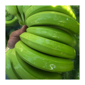 Plátanos Cavendish frescos totalmente naturales exportados por proveedor de Vietnam para muchos alimentos nutritivos - Product Image 1