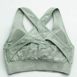 Sujetador deportivo de gimnasio cómodo y fácil de usar disponible en stock Sujetador deportivo de talla grande para uso femenino - Product Image 2