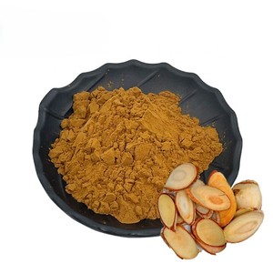 Approvisionnement d'usine 100% pur naturel Tongkat Ali extrait de racine 200:1 supplément à base de plantes de qualité alimentaire Tongkat Ali poudre pour hommes et femmes - Product Image 5