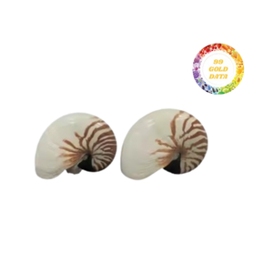 Conchas marinas naturales Nautilus en tamaño grande con hermosos patrones de abulón perfectos para la decoración del hogar y el uso artesanal creativo - Product Image 2