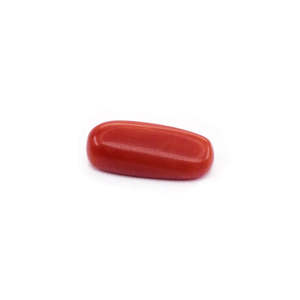 Cuentas de Coral Japonés Natural de 6.15 Ratti, Cuentas Sueltas en Rojo, Blanco y Naranja Hechas de Hueso y Concha para la Fabricación de Joyas - Product Image 1