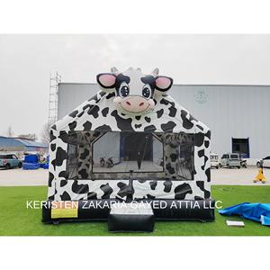 Castillo Inflable Comercial con Tobogán, Azul, PVC, Tres Años de Garantía, Fácil de Instalar, para Fiestas de Niñas - Product Image 1