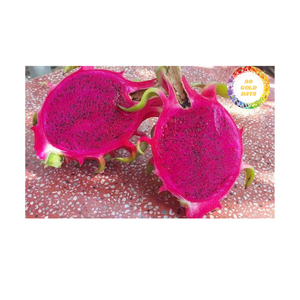 ผลไม้เขตร้อนผิวแดงแบบเวียดนามผลไม้เขตร้อนเหมาะสำหรับขนมน้ำผลไม้และจัดจำหน่ายขายส่ง - Product Image 1