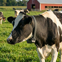 Dispositif de suivi du bétail à longue autonomie avec GPS, clôture virtuelle, double panneaux solaires et entraînement animal réglable
