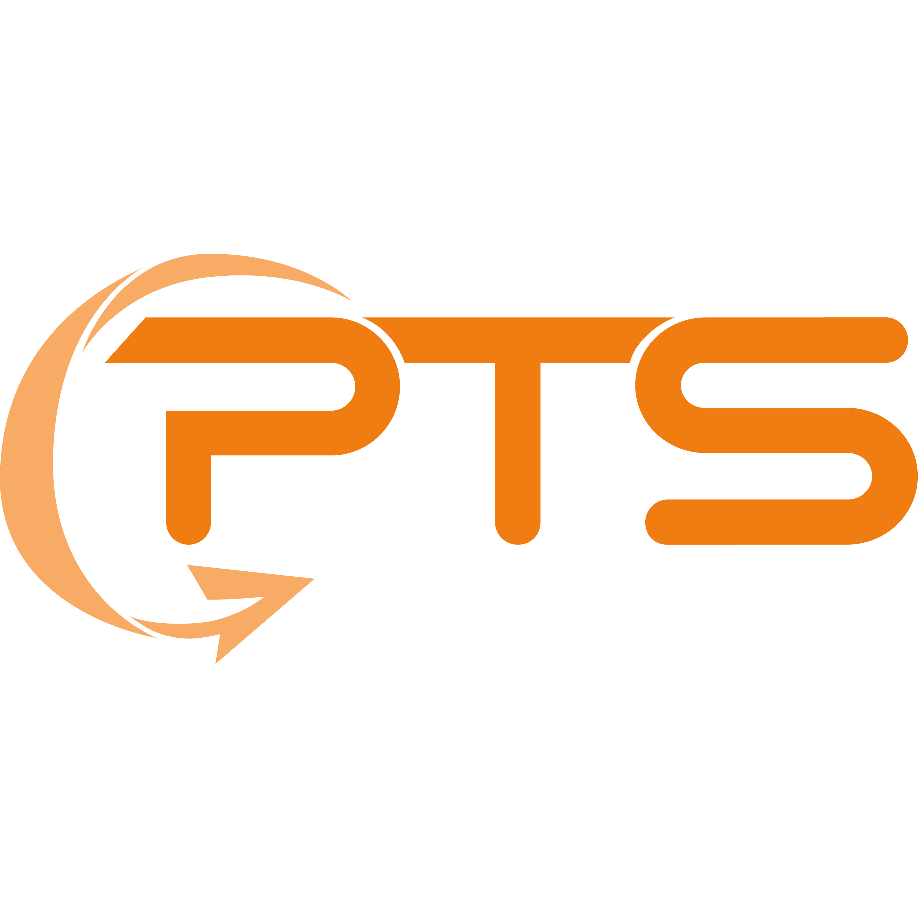 PTS Prototypenteile und System Technik GmbH logo