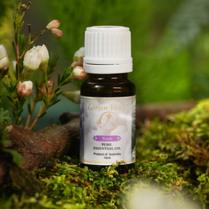 Série Famille et Généreux Huiles Essentielles Pures - 100% Melaleuca : Un Éclat de Splendeur - Product Image 1