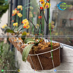 เทปเส้นใยมะพร้าวอินทรีย์สำหรับผูกต้นอ่อนรองรับการเจริญเติบโตและการป้องกันดิน - Product Image 3