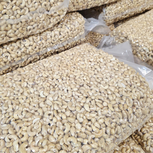 Fabrication de noix de cajou brutes W180 W240 W320 Noix de cajou en vrac exportées en gros vers l'UE, le Moyen-Orient et l'Asie depuis Santigo - Product Image 1