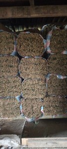 Hojas de Bambú Secas de Vietnam, Procesamiento Uniforme, Exportación a Granel para Compradores Internacionales - Product Image 4