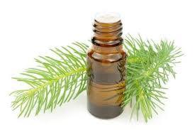100% pur pin neddle Essentie Oil En Gros En Vrac Essentiel Pin neddle Huile Naturel et Pur pin neddle huile - Product Image 4
