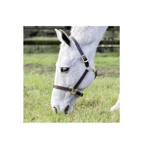 Cheval Halter Triple Cousu Cuir Cheval Halter Smart Design Double Boucle Couronne Réglable - Product Image 3