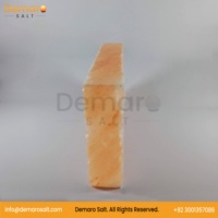 2025 Tuiles de sel rose de l'Himalaya bio à la mode 100% briques sculptées naturelles pour la décoration et la salle de sauna directement de la source