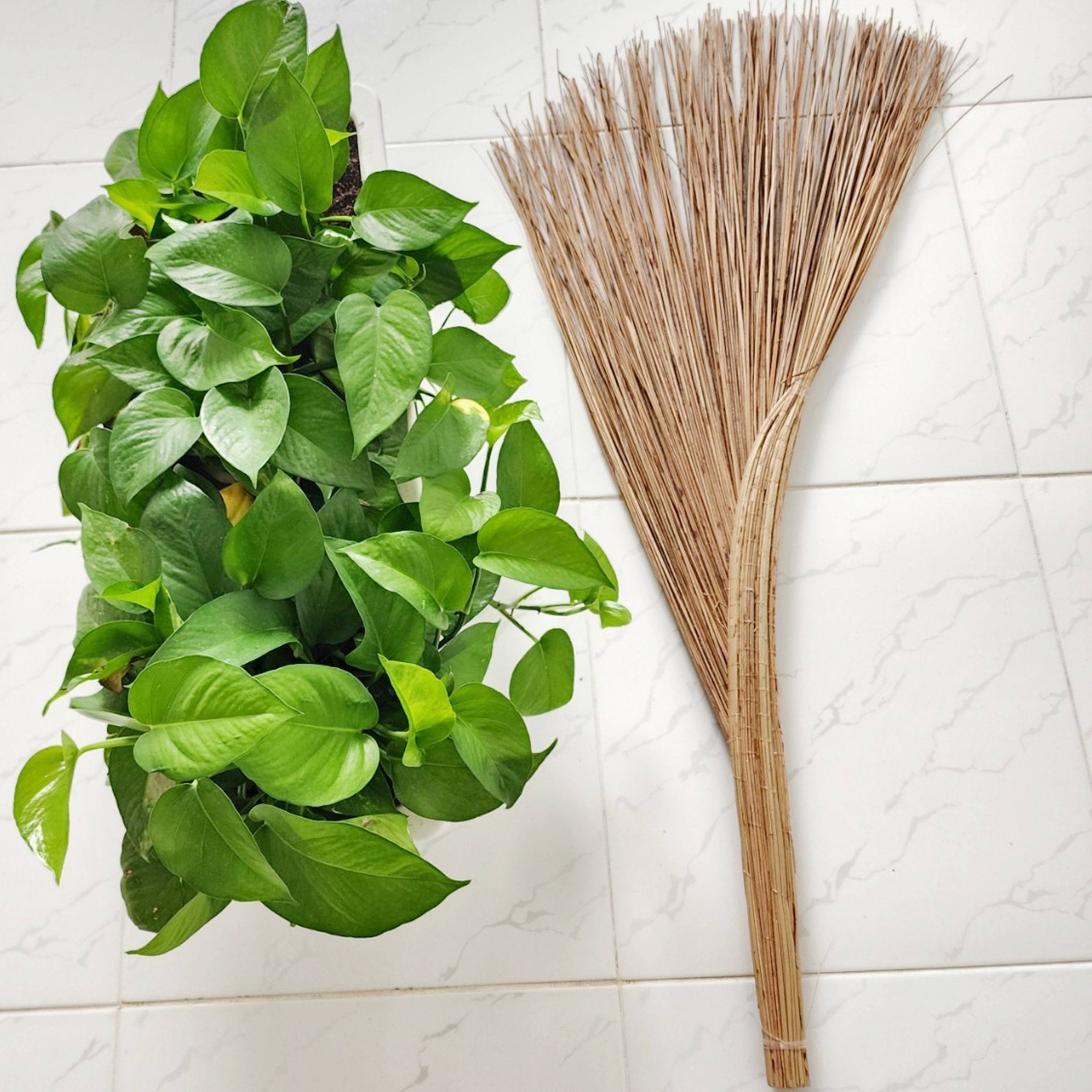 ธรรมชาติ