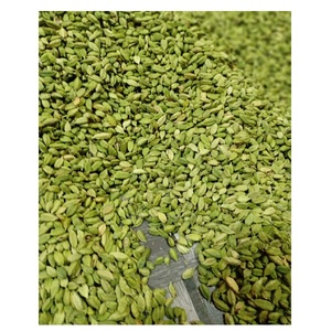 กระวานสีเขียว - Product Image 5