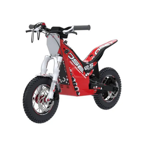 Tout Neuf Vélo Électrique de Course 12.5 Haute Performance Moto Électrique Tout-Terrain 100% Authentique - Prêt à Expédier - Product Image 6