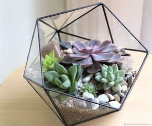 New Irregular Geometric Terrarium Brass Glass Succulent Glass Terrarium Box <b>Display</b> Black Finished Home & Garden Decor - Product Image 4