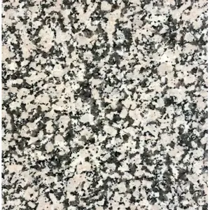 Azulejo de piedra de granito de 12x12 de diseño chino moderno, acabado de superficie pulida y pulida con llama para suelo y pared de Villa (50 pies cuadrados) - Product Image 1