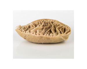 Omasum de Res Salado y Seco de Calidad Superior al Mejor Precio, Omasum de Res Congelado, Venta de Omasum de Res Seco y Salado - Product Image 4