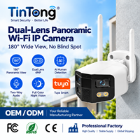 180 degrés panoramique Ip67 détection du corps humain double objectif couleur Audio bidirectionnel 4k 8mp Cctv sécurité balle Ip caméra réseau