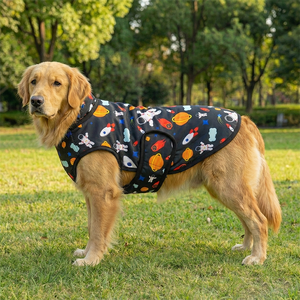 Abrigo para Perro Plegable, Ligero y Cómodo, con Diseño de Astronauta, Tejido Resistente para el Frío Invernal, Uso Diario al Aire Libre - Product Image 1