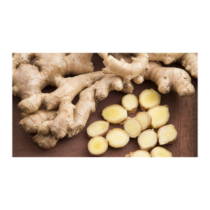 High Quality <b>Fresh</b> <b>Ginger</b> Premium <b>Fresh</b> <b>Ginger</b> Root Direct from Exporter Bulk Supply for Culinary Health and Wholesale - Product Image 2