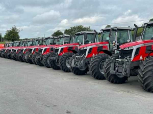 Agriculture 4WD Massey Ferguson 250 Tracteur à vendre .. - Product Image 2