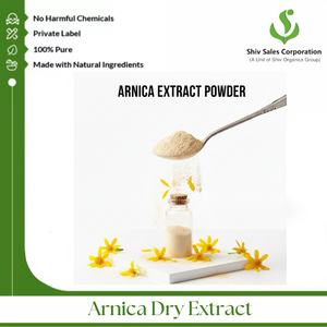 Shiv Sales - Extracto de Flor de Árnica en Polvo para los Mercados Globales de Ingredientes Cosméticos y de Cuidado Personal - Product Image 3