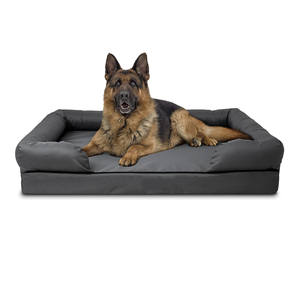 Cama para perros, espuma viscoelástica, alivio del dolor: artritis, poscirugía, cubierta lavable, aprobada por veterinarios - Product Image 5