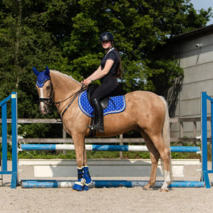 Ensemble de tapis de selle pour cheval de dressage professionnel avec doublure en polycoton, couvertures de selle personnalisées de haute qualité, y compris les bottes - Product Image 4