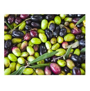Prix le plus bas fournisseur d'olives de fruits frais en vrac avec livraison rapide - Product Image 6