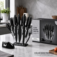 Ensemble de couteaux de cuisine en acier inoxydable noir de 17 pièces Revêtement antiadhésif Conception ambidextre Poignées en plastique Ensemble de chef professionnel
