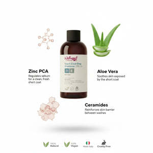 Shampoo pour chien à revêtement court 200 ml avec RedMoringa OEM PL Italie, shampoing pour animaux de compagnie en plastique pour chats, accessoire de salle de bain - Product Image 3