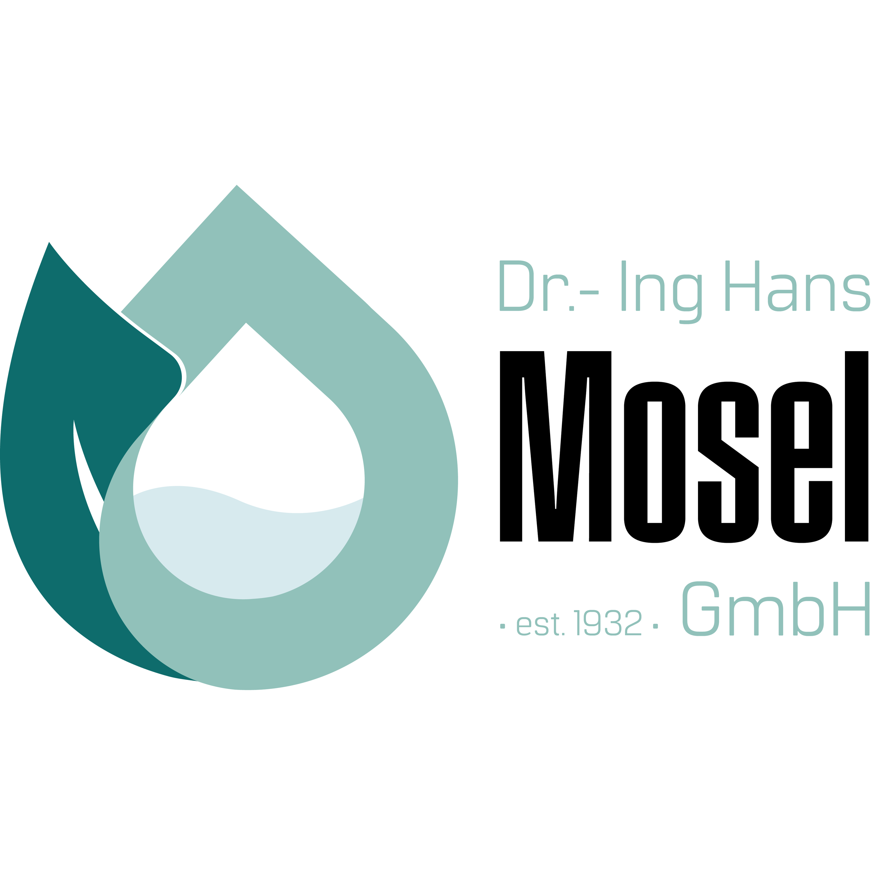 Dr.-Ing. Hans Mosel GmbH logo
