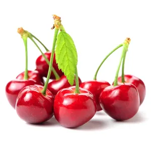 Wholesale Supplier Bulk Cherries