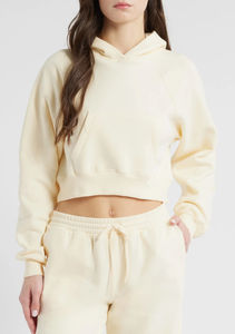 Ensemble 2 pièces pour femmes coton éponge français Joggers pantalon sweat à capuche survêtement d'hiver brodé taille élastique jambe large avant - Product Image 2