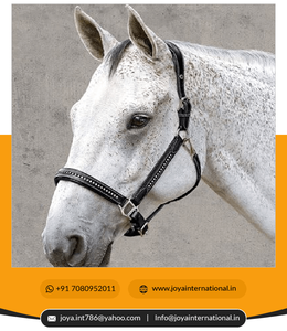 2022 nonยืนต้นหนังอังกฤษคุณภาพสูงแบบพรีเมี่ยมเชือกแขวนคอหนังประดับคริสตัลพับได้ - Product Image 6