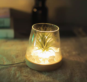 Base lumineuse LED en bois massif chargeant rond carré acrylique lumière sous-<span class=keywords><strong>verre</strong></span> <span class=keywords><strong>verre</strong></span> à vin support inférieur atmosphère veilleuse - Product Image 3