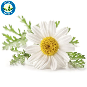 Huile essentielle de camomille allemande biologique Fourniture en gros de soins de la peau aromathérapie en vrac prix de gros marque privée de qualité thérapeutique - Product Image 3