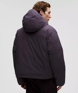 Vente en gros Veste matelassée pour homme Logo personnalisé Haute qualité Coupe-vent à capuche Vêtement d'extérieur élégant pour l'hiver pour le streetwear - Product Image 3