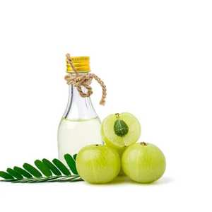 Huile de support de graines d'amla pure 100% Vente en gros d'huile de graines d'amla en vrac Huile de graines d'amla naturelle et pure - Product Image 1