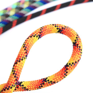 Toptan moda dayanıklı Polyester 8mm 10mm PP kalın halat köpek tasma örgülü halat için evcil hayvan tasması çanta kolu - Product Image 6