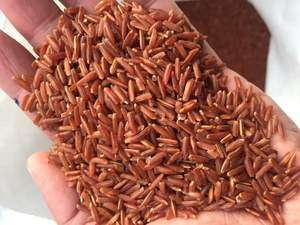 [Keith Vilaconic] Riz rouge long grain de qualité supérieure |   Le bien-être des céréales complètes pour un mode de vie sain |   Approvisionnement en gros - Product Image 5