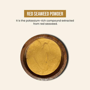 Alga Marina Roja Aquagri Premium en Polvo Fino, Producto Agrícola, 25 kg Cada Uno, Origen India, para Plantas - Product Image 2