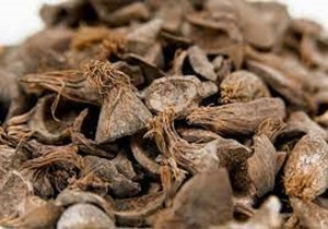 เปลือกปาล์มแห้งธรรมชาติ ปริมาณมาก แหล่งกำเนิดจากบราซิล อายุการเก็บรักษา 12 เดือน สำหรับอุตสาหกรรมพลังงานชีวมวลในสหภาพยุโรป ควรเก็บในที่แห้งและเย็น - Product Image 6